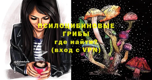 ГАЛЛЮЦИНОГЕННЫЕ ГРИБЫ Алзамай